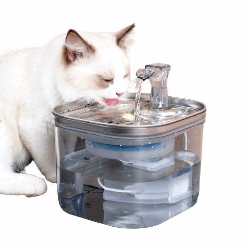 Pet Water Fountain